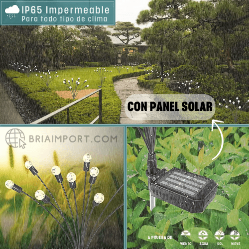SET DE 2 UNIDADES DE LUZ LED SOLAR PARA EXTERIORES - BRIA IMPORT
